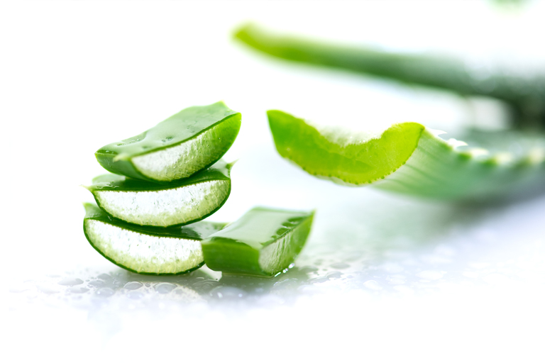 Funda de Aloe Vera